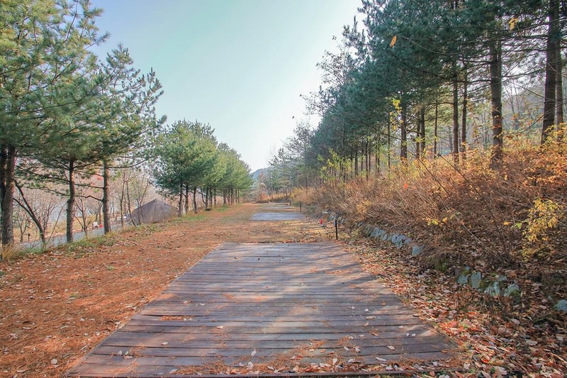 청송오토캠핑장 시설 사진 17