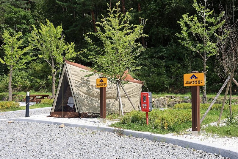 태백고원자연휴양림 자동차야영장 시설 사진 15