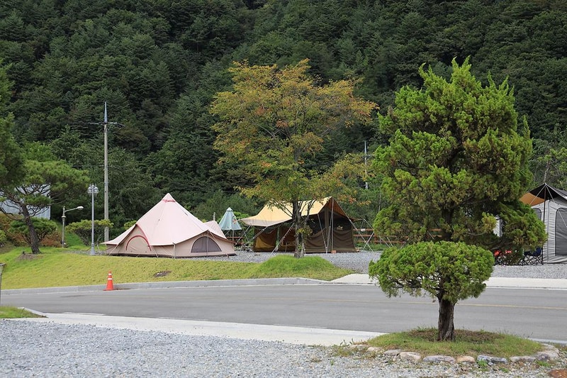 태백 눈꽃 야영장 시설 사진 13