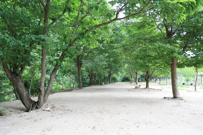 도마치 자연그대로 캠핑장 시설 사진 7