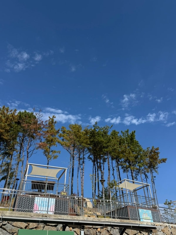 구봉산 숲속야영장