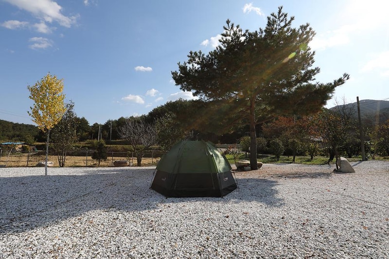 왕피천모래언덕 펜션/캠핑장 시설 사진 20