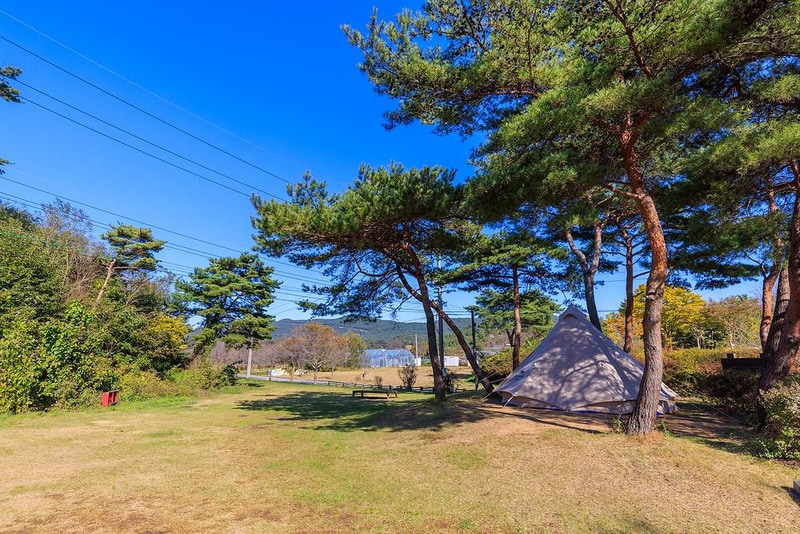 세울터 오토캠핑장 & 펜션 시설 사진 20