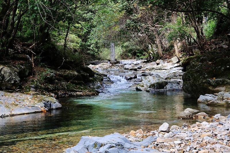 그린필로우 시설 사진 12