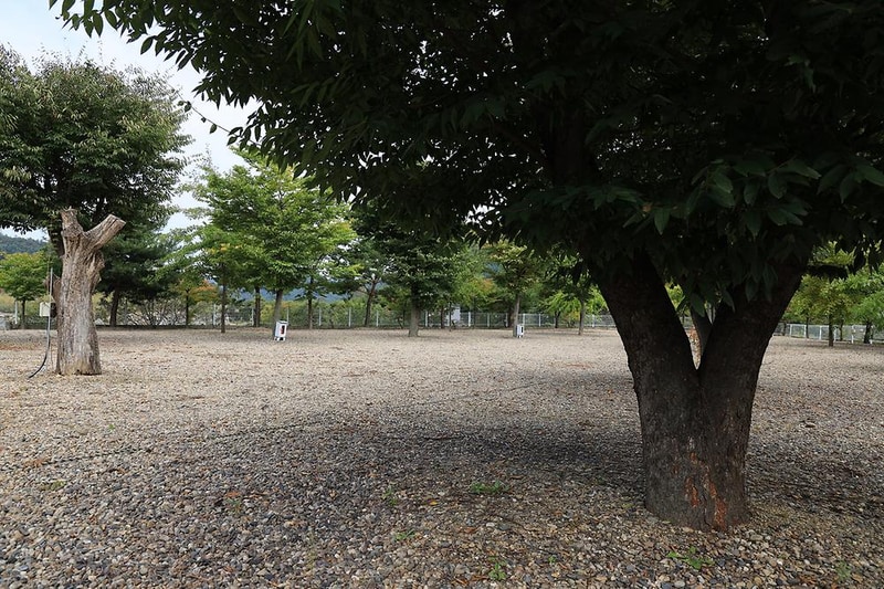 블루래빗 시설 사진 1