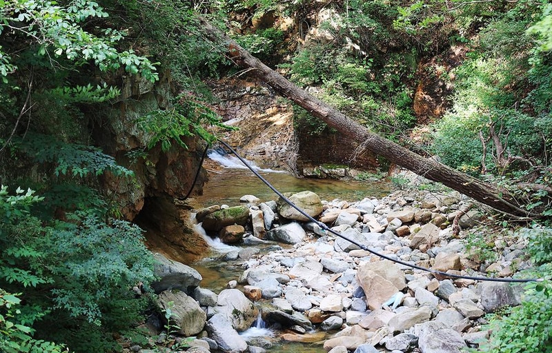 오아시스정글 시설 사진 1