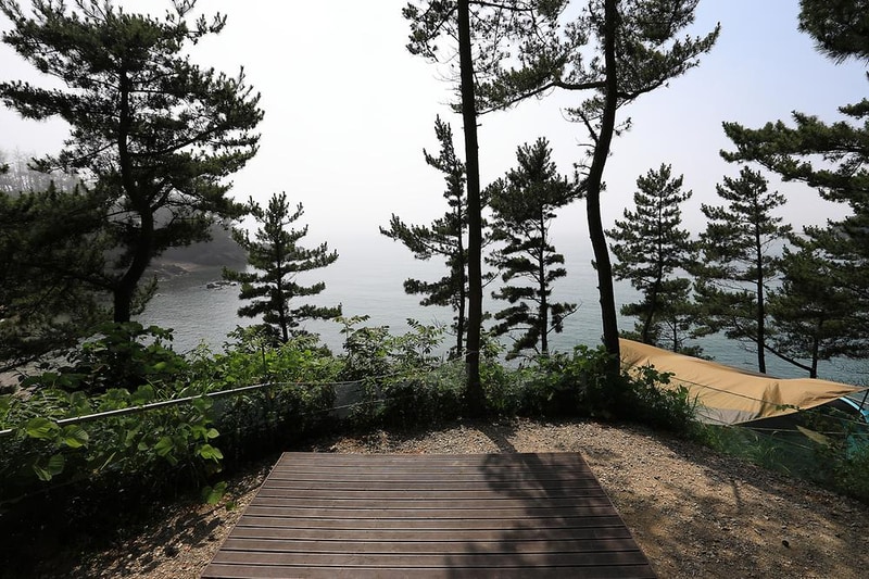 SE클럽(태안둘레길캠핑장&펜션) 시설 사진 17