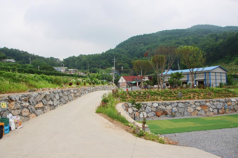 단양 패러캠핑장 시설 사진 10