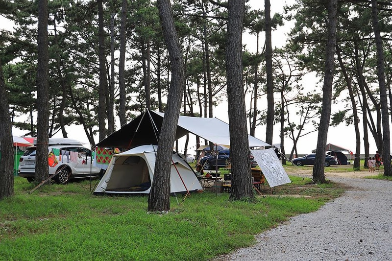 구시포 노을 캠핑장 시설 사진 23