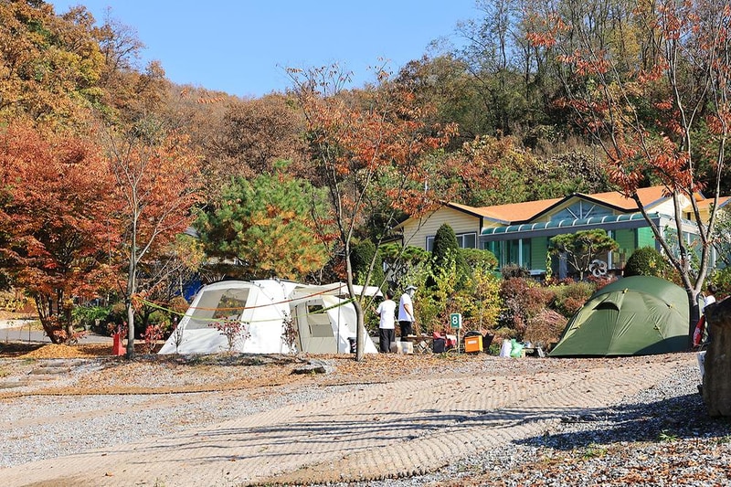 라곰 시설 사진 5