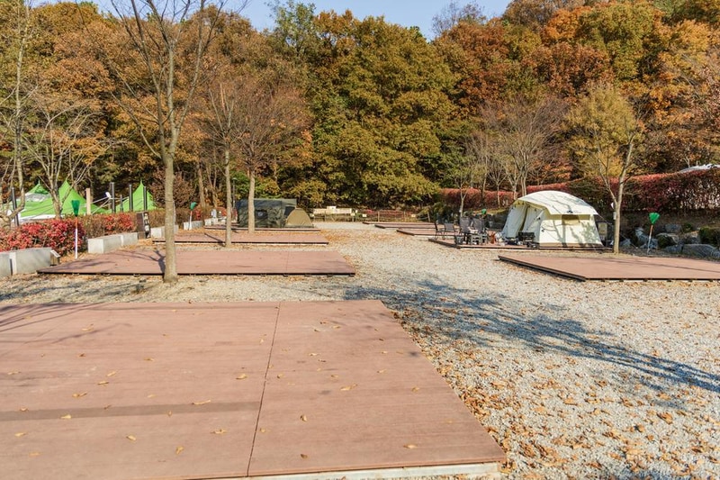 초막골생태공원 느티나무야영장 시설 사진 71