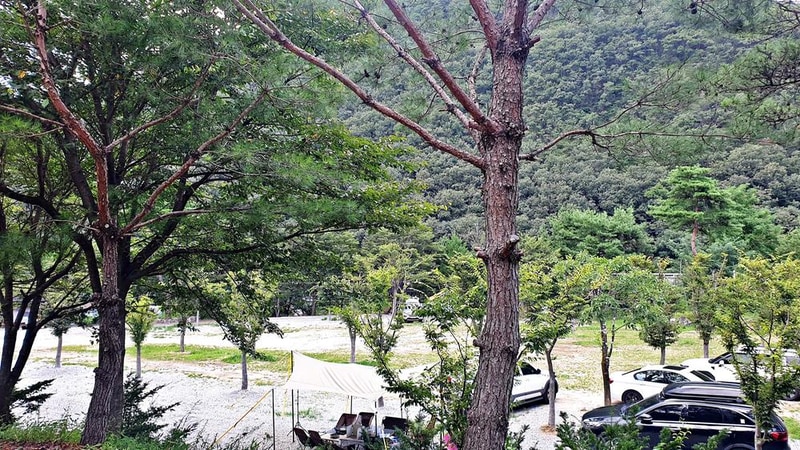 미산가족오토캠핑장 시설 사진 30