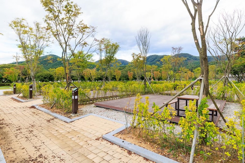 내장산국립공원 내장호야영장 시설 사진 27