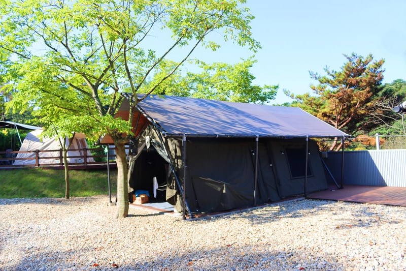 (주)러블레싱(LOVEBLEESING INC) 시설 사진 39