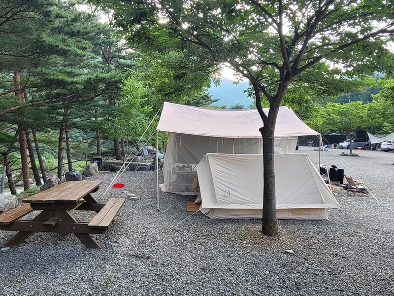 왕피천하늘담야영장 시설 사진 1