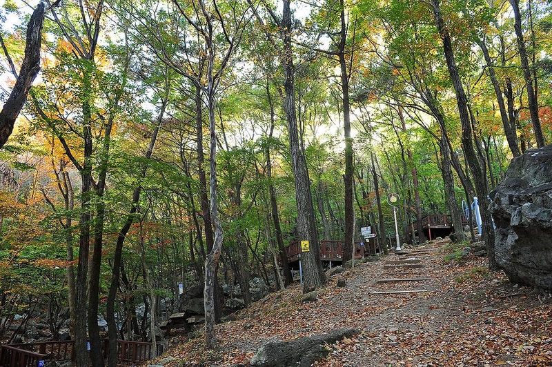 거제자연휴양림 시설 사진 7