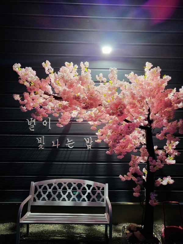 별밤캠프 시설 사진 14