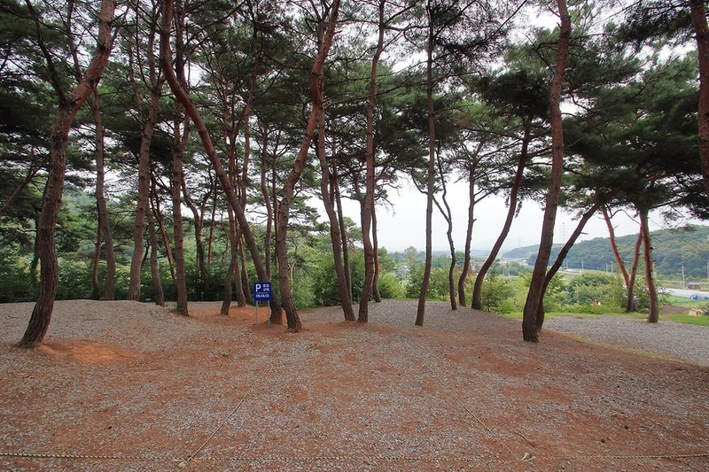 용봉산캠핑장 시설 사진 4