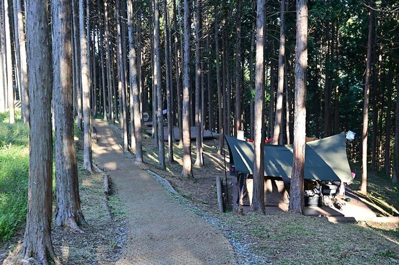 사천 케이블카 자연휴양림