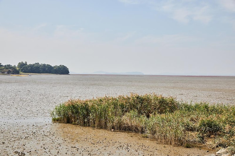 강화도 크로바 캠핑장 시설 사진 3