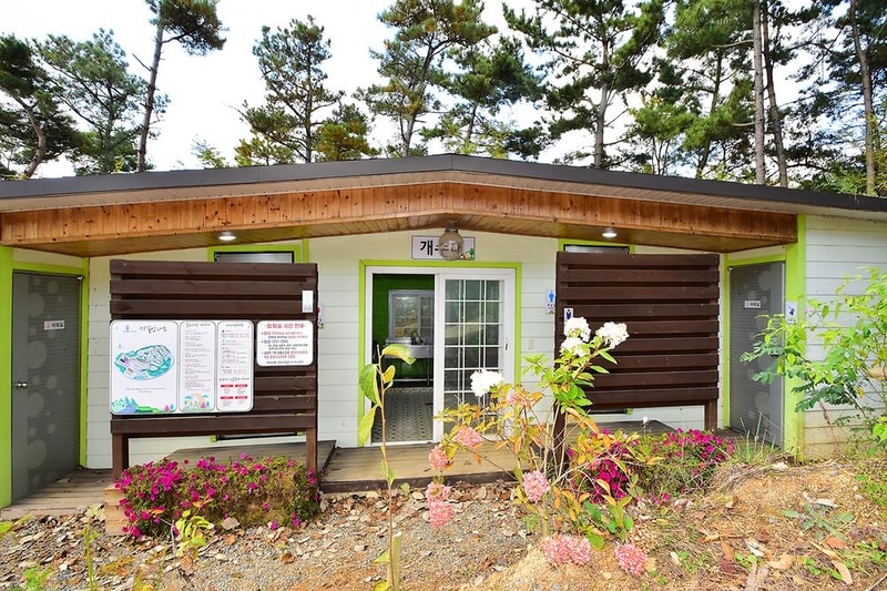 아잘리아 그린 시설 사진 13