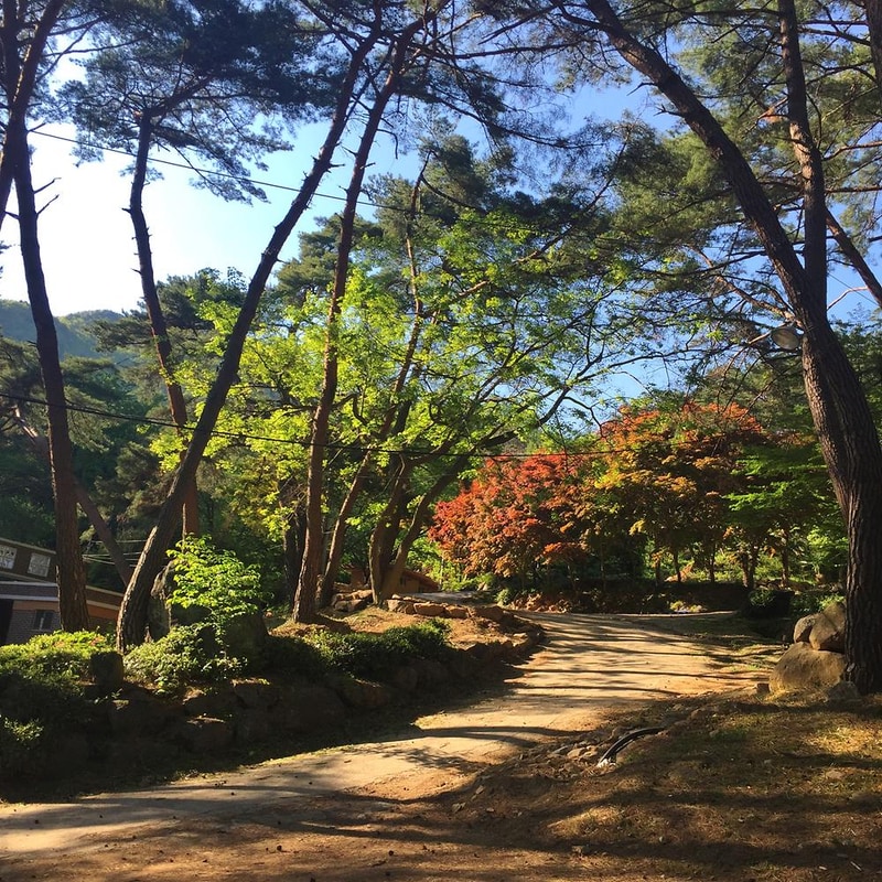 섬지캠핑장 시설 사진 2