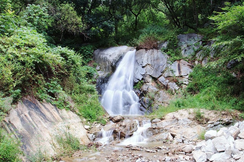 문경수예리오토캠핑장 시설 사진 2