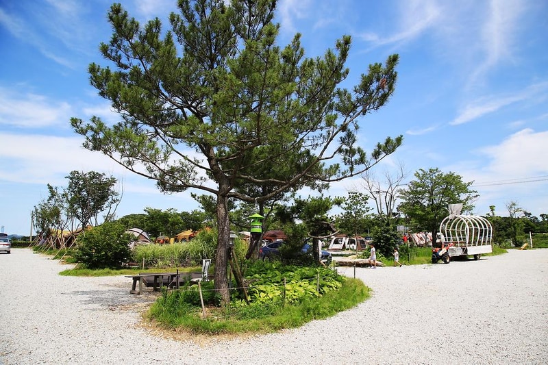 강화고인돌 캠핑장 시설 사진 23