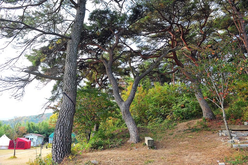 달곡캠프 시설 사진 8