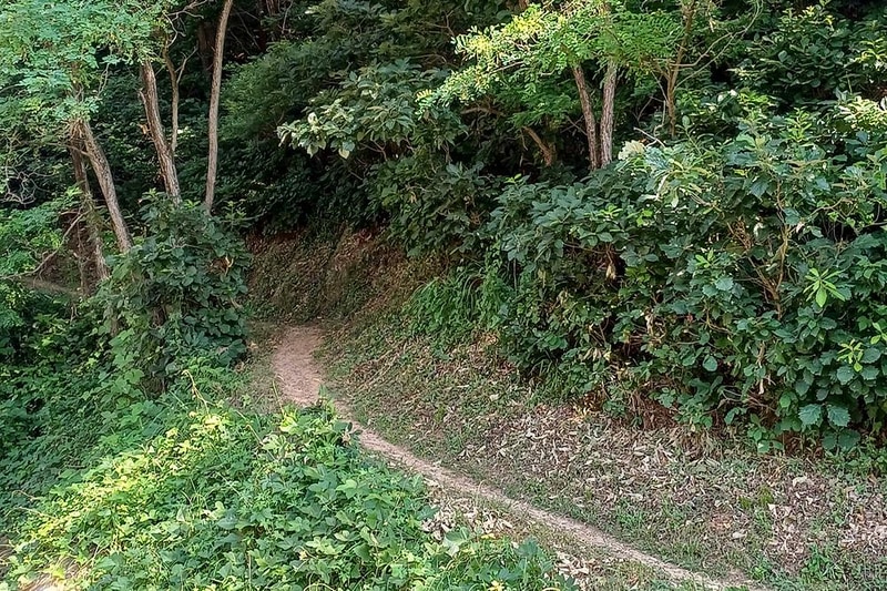 몽상핀 시설 사진 6