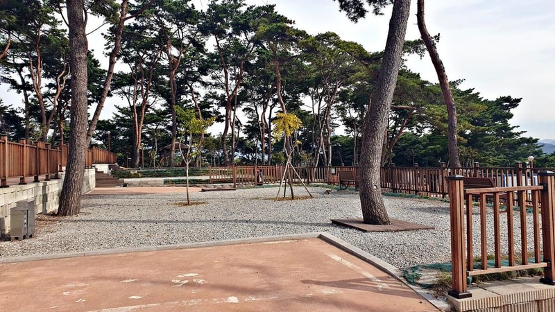 교룡공원 숲속야영장 시설 사진 2