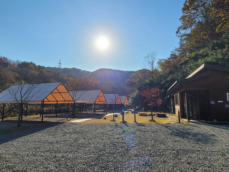 양양 포레스트캠핑장 시설 사진 8