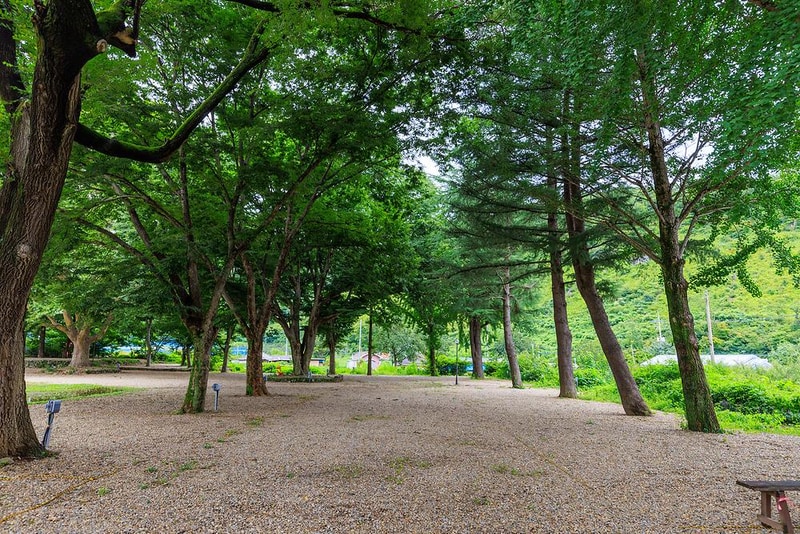 에코팜 부설 오토캠핑장 시설 사진 13