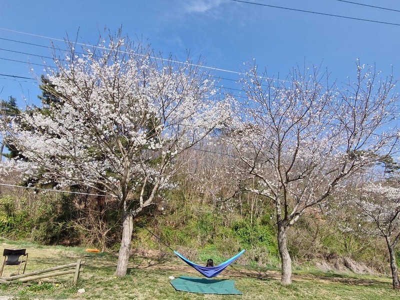 세울터 오토캠핑장 & 펜션 시설 사진 9