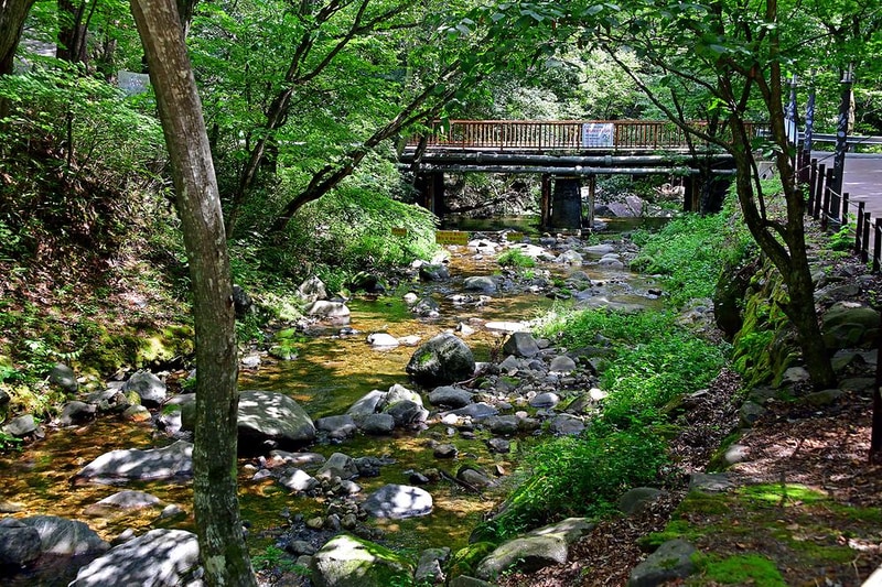 치인야영장 시설 사진 7