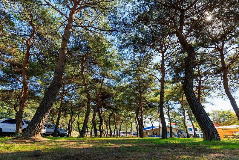 성보촌 캠핑장 시설 사진 15