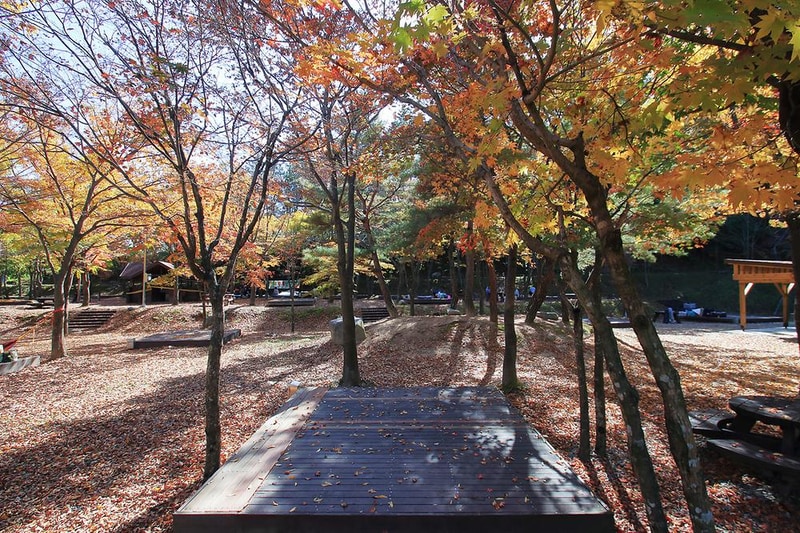 구수곡 자연휴양림 시설 사진 2