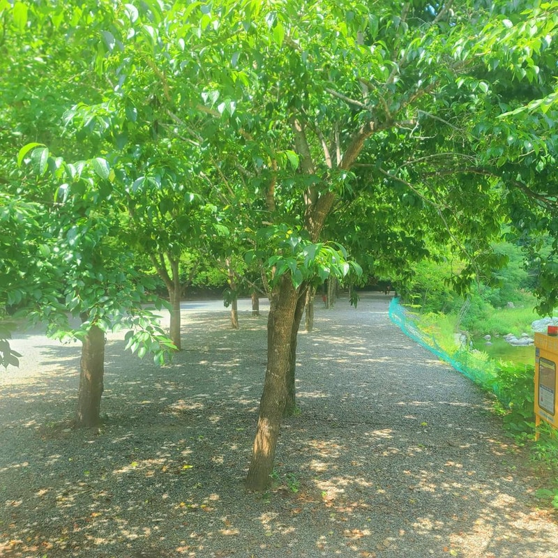 별삼킨별캠핑장 시설 사진 18