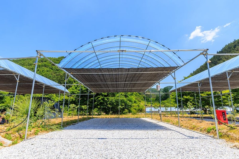 진악산오토캠핑장 시설 사진 15