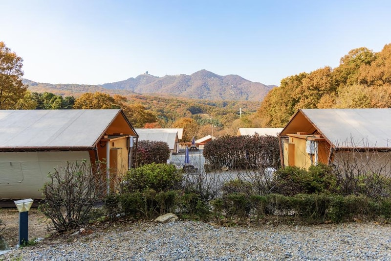 초막골생태공원 느티나무야영장 시설 사진 84