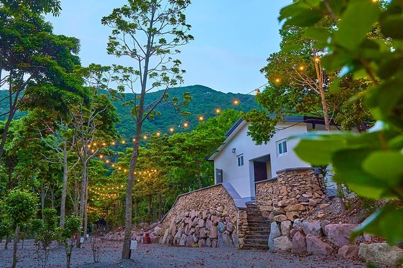 진도 카멜리아 힐즈 오토캠핑장