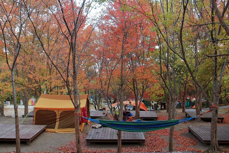 함허동천야영장