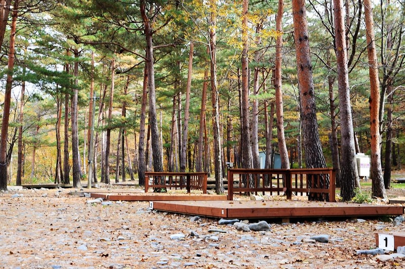 강릉 노추산 힐링캠프 시설 사진 4