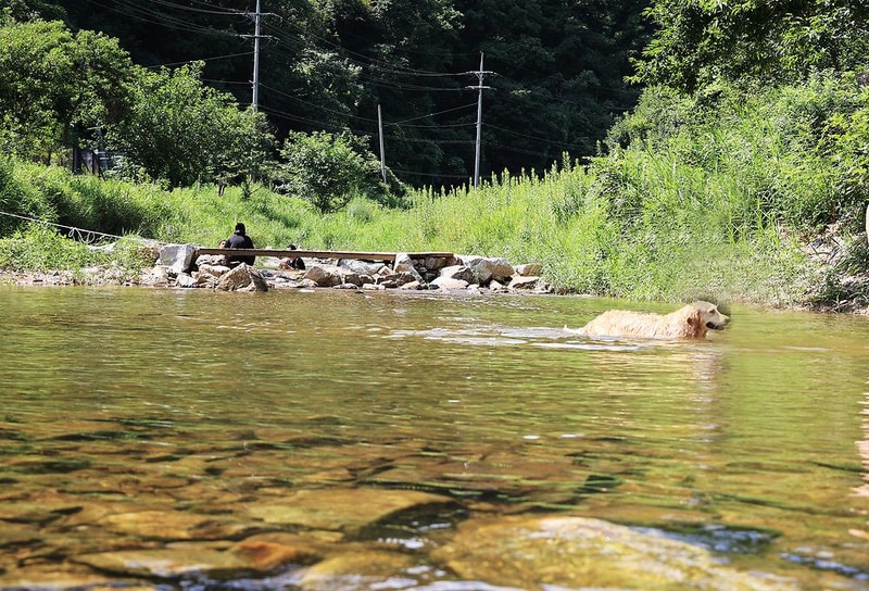 그자리 야영장 시설 사진 7