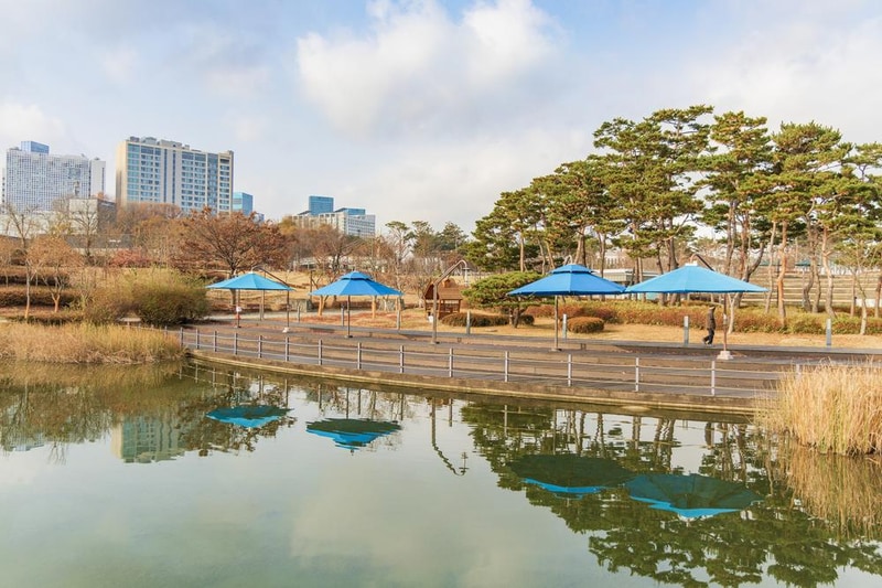 전월산 국민여가캠핑장 시설 사진 75