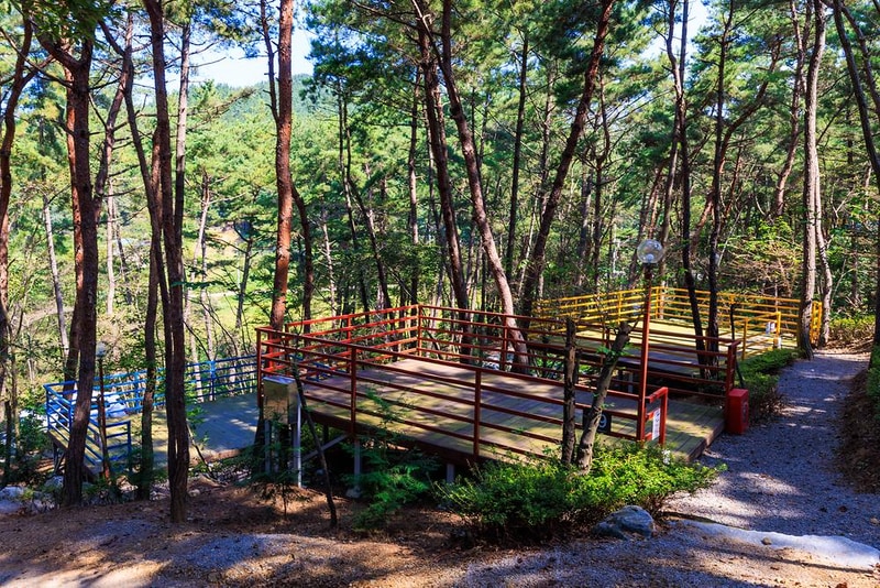 올레유 시설 사진 18