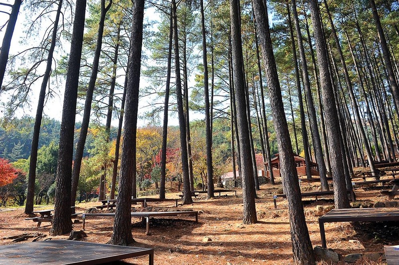 백운산 자연휴양림 야영장 시설 사진 9