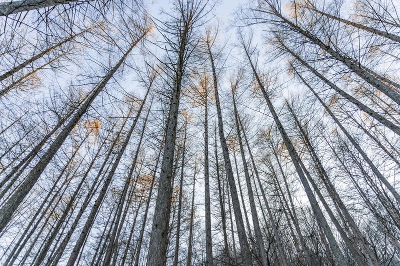 거창 국민여가캠핑장 시설 사진 19