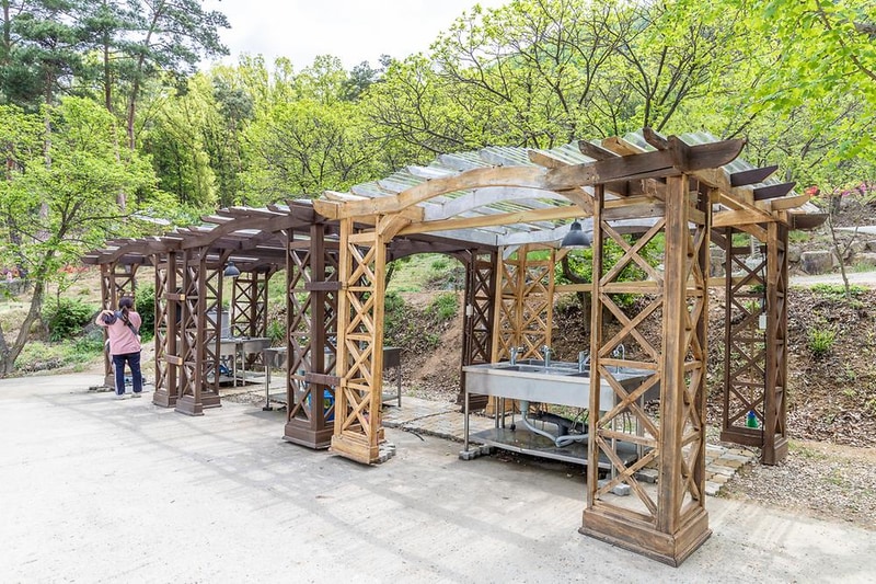 마로니에숲 캠핑장 시설 사진 14