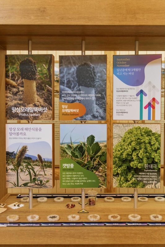 망상오토캠핑리조트 시설 사진 45